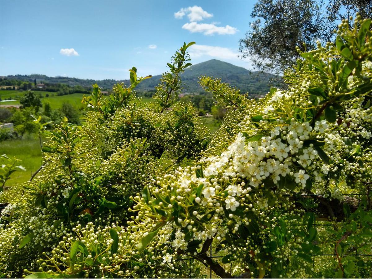 Le Piracante Caiazzo 外观 照片
