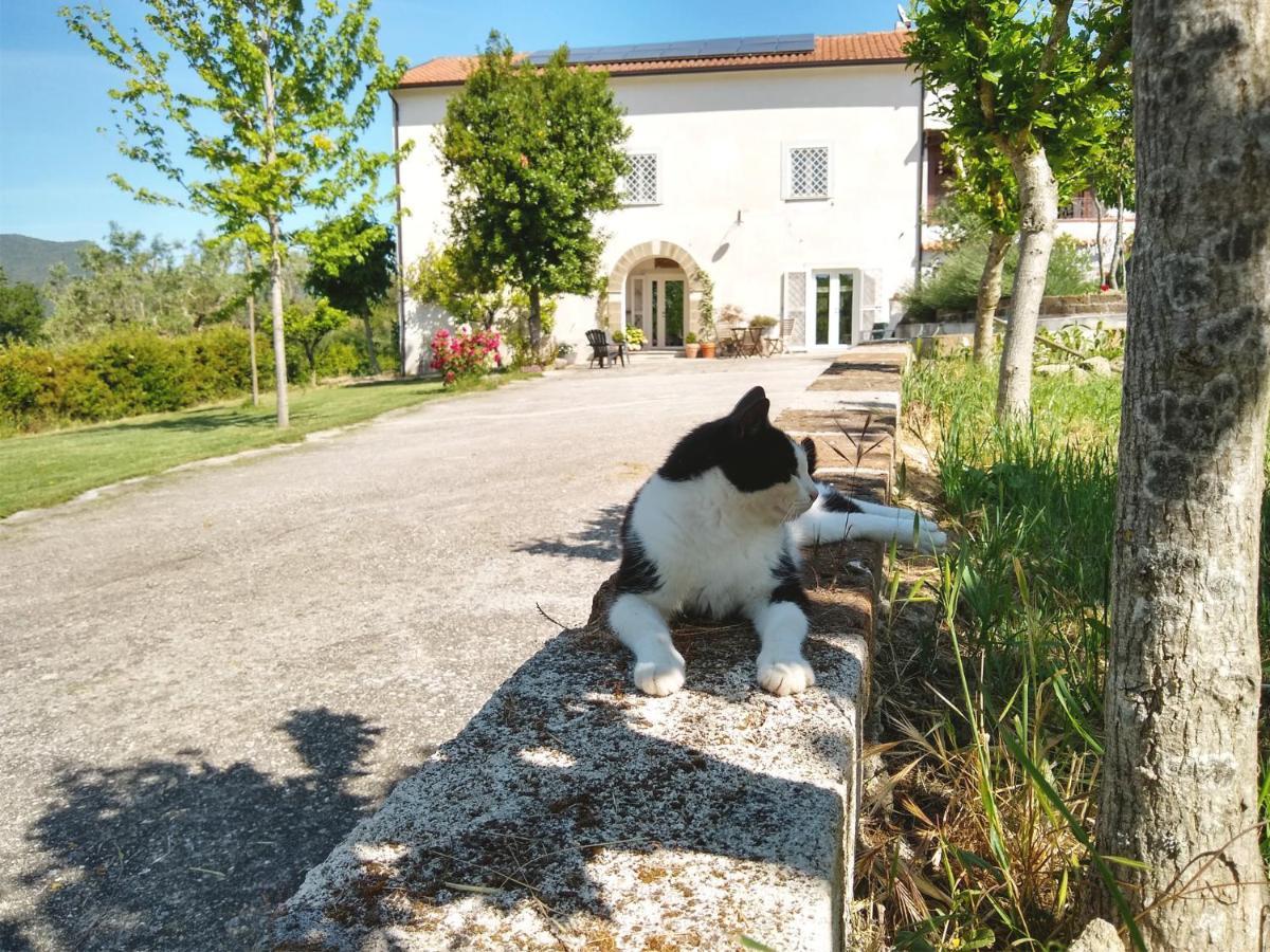 Le Piracante Caiazzo 外观 照片